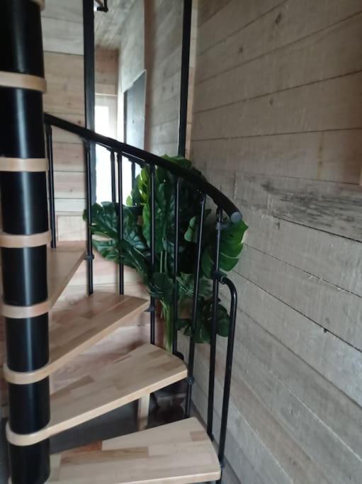 Le P'Tit Nid : Mini Loft Pour 2 A 4 Personnes Villa Tellin Buitenkant foto